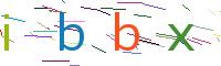 Verify Code