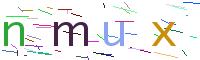 Verify Code