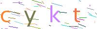 Verify Code