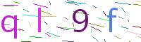 Verify Code
