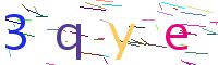 Verify Code