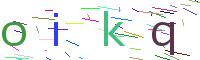 Verify Code