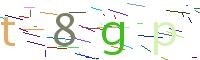Verify Code