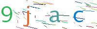 Verify Code