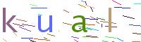 Verify Code