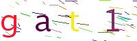 Verify Code
