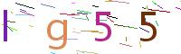 Verify Code
