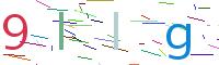 Verify Code