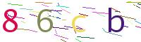 Verify Code