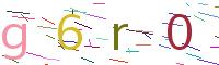 Verify Code