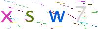Verify Code