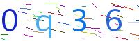 Verify Code