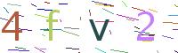 Verify Code