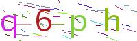 Verify Code