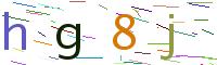 Verify Code