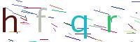Verify Code