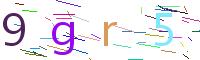 Verify Code