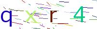 Verify Code