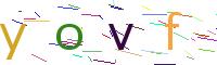 Verify Code