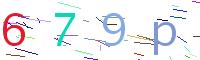 Verify Code