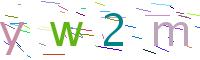 Verify Code