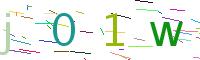 Verify Code