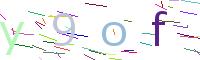 Verify Code