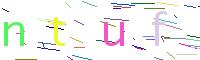 Verify Code