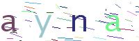 Verify Code