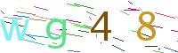 Verify Code