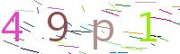 Verify Code