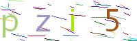 Verify Code