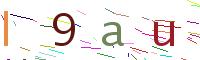 Verify Code