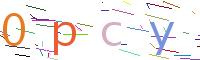 Verify Code