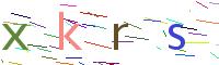 Verify Code