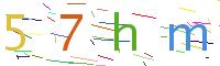 Verify Code