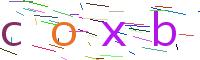 Verify Code