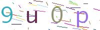 Verify Code