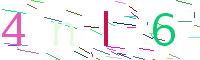 Verify Code