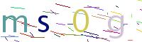 Verify Code