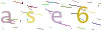 Verify Code