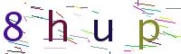 Verify Code
