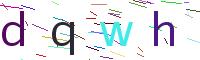 Verify Code