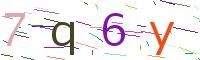 Verify Code