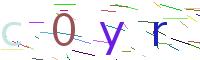 Verify Code