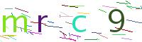 Verify Code