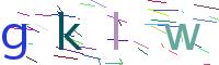 Verify Code
