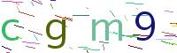 Verify Code