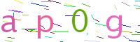 Verify Code