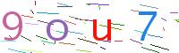 Verify Code